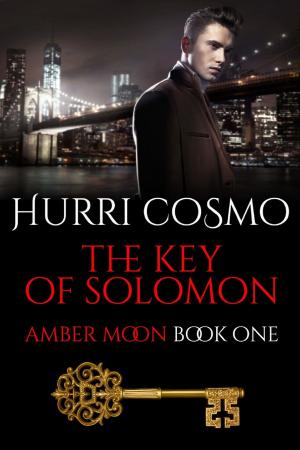 Cover of the book The Key of Solomon: Amber Moon by Jason Shannon