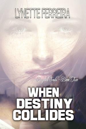 Cover of the book When Destiny Collides by Lynette Ferreira