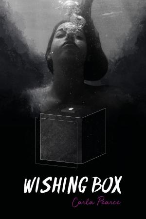 Cover of the book Wishing Box by Nic Brown