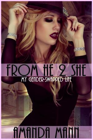 Cover of the book From He 2 She: My Gender-Swapped Life by Syndy Light