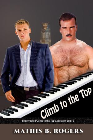 Cover of the book Climb to the Top by Akiko Murita