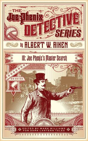 Cover of the book Joe Phenix's Master Search by Michael Riche-Villmont