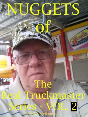 Book cover of Nuggets of the Real Truckmaster Series Volume Two