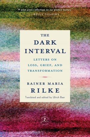 Cover of the book The Dark Interval by Sara Paretsky
