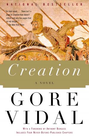 Cover of the book Creation by Suzanne Finnamore