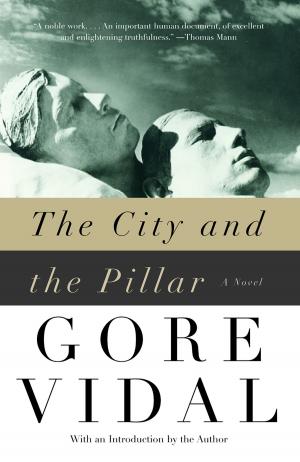 Cover of the book The City and the Pillar by Mona Simpson