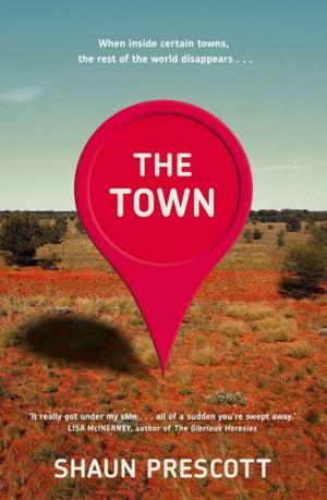 Cover of the book The Town by James Hamilton-Paterson
