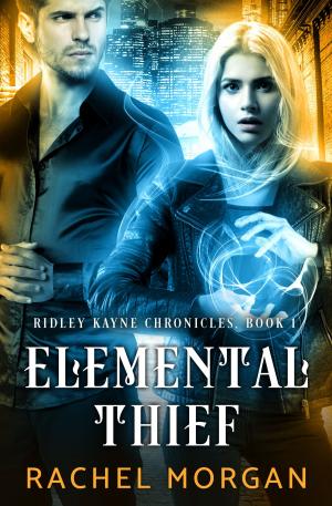 Book cover of Elemental Thief