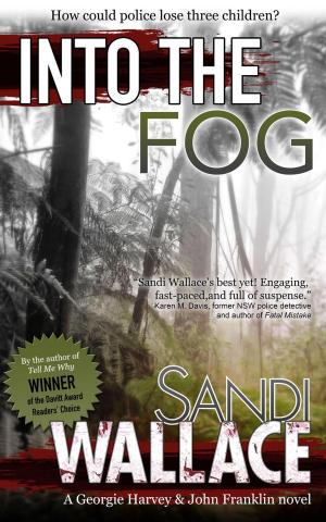 Cover of the book Into The Fog by Mari Hegger