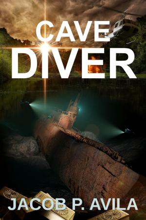 Cover of the book Cave Diver by David Putnam