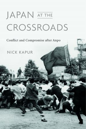 Cover of the book Japan at the Crossroads by Daniel R. Coquillette