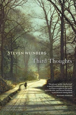 Cover of the book Third Thoughts by Daniel Matlin