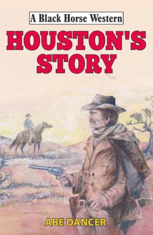 Cover of the book Houston's Story by Andrew McBride