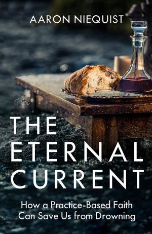 Cover of the book The Eternal Current by Olatubosun Matthew Macaulay