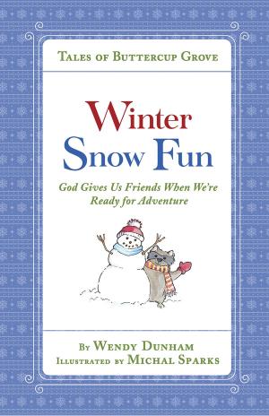 Book cover of Winter Snow Fun