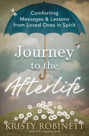 bigCover of the book Journey to the Afterlife by 