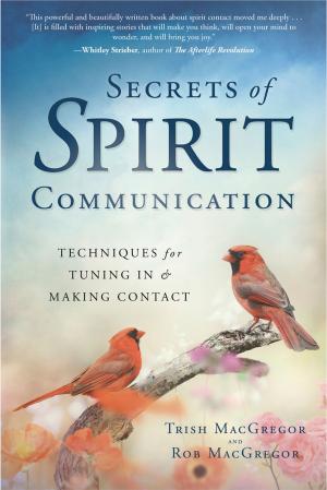 Book cover of Secrets of Spirit Communication