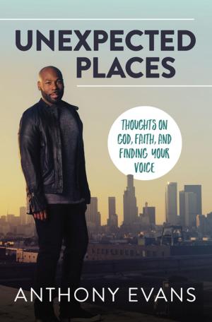 Book cover of Unexpected Places