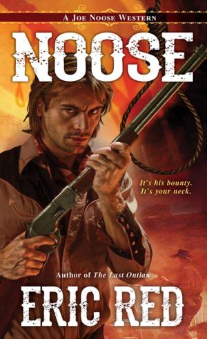 Cover of the book Noose by Cari Hislop