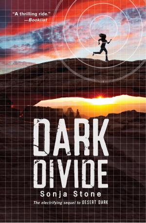 Cover of the book Dark Divide by Emily Arnold McCully