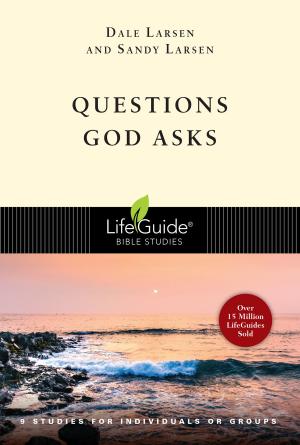 Cover of the book Questions God Asks by Dallas Willard
