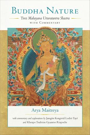 Cover of the book Buddha Nature by Daniel Goleman, The Dalai Lama