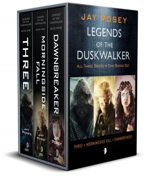 Cover of the book Legends of the Duskwalker (Limited Edition) by Christian Schoon