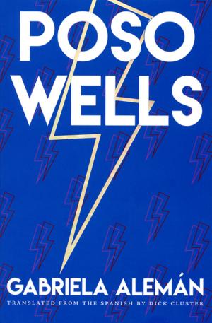 Cover of the book Poso Wells by Amanda Linehan