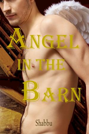 Book cover of Angel in the Barn