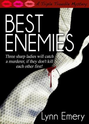 Cover of the book Best Enemies by Leslie O'Kane