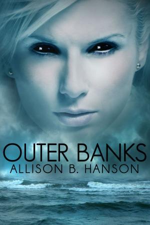 bigCover of the book Outer Banks by 