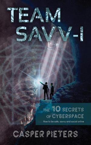 Cover of the book The 10 Secrets of Cyberspace by Tom Steephen