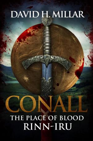 Cover of the book Conall: The Place Of Blood—Rinn-Iru by Anna Nihil