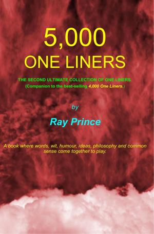 bigCover of the book 5,000 One Liners by 