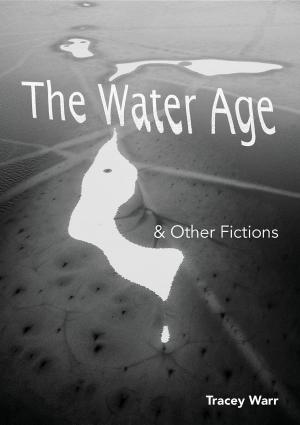Cover of The Water Age & Other Fictions
