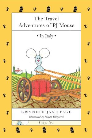 bigCover of the book The Travel Adventures of PJ Mouse by 