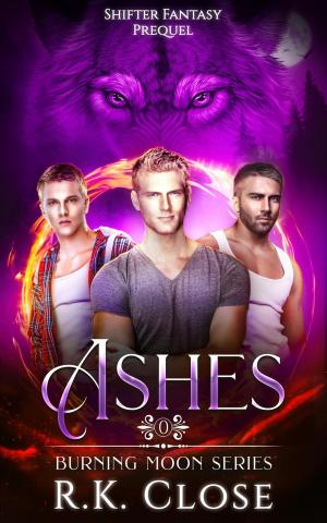Cover of the book Ashes by Jay Spencer Green