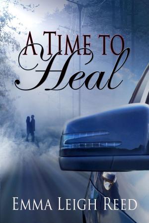 Cover of the book A Time to Heal by J.A. Belfield