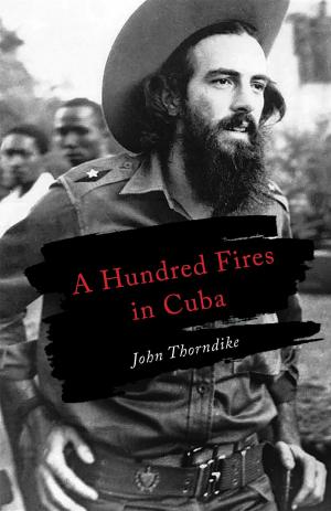 Cover of the book A Hundred Fires in Cuba by SJ Slagle
