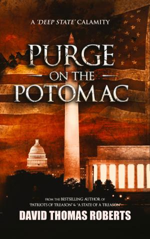 bigCover of the book Purge on the Potomac by 