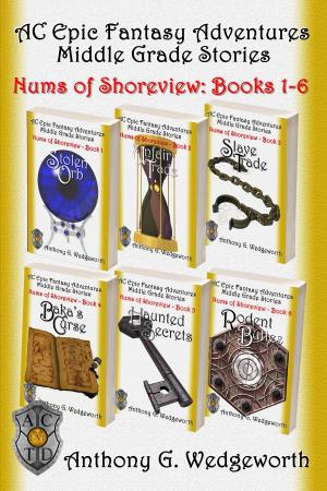 Cover of the book Nums of Shoreview by Maya L. Heyes