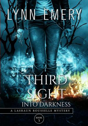 Cover of the book Third Sight Into Darkness by Patricia Loofbourrow