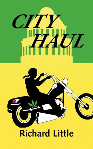 Book cover of City Haul