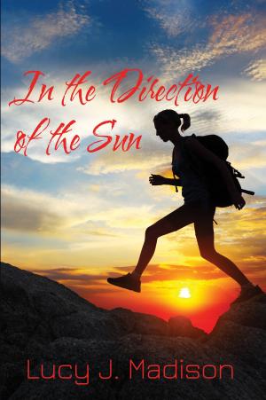 Cover of the book In the Direction of the Sun by Anna Russo