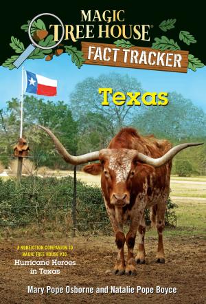 Cover of the book Texas by Annie North Bedford
