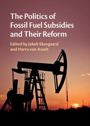 Cover of the book The Politics of Fossil Fuel Subsidies and Their Reform by Kathryn James