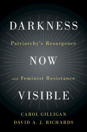 Cover of the book Darkness Now Visible by Jennifer Cyr