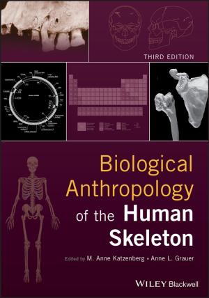 Cover of the book Biological Anthropology of the Human Skeleton by 