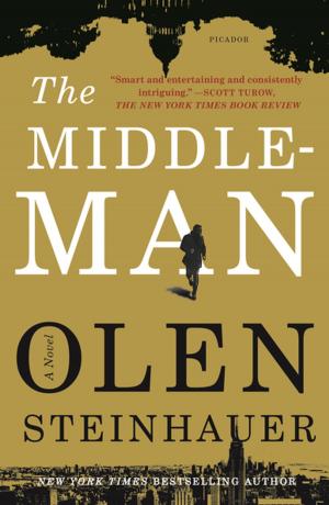 Book cover of The Middleman