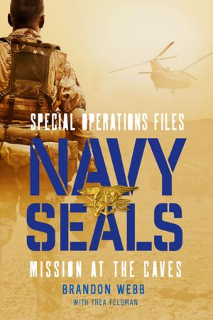 Cover of the book Navy SEALs: Mission at the Caves by Melvin Burgess